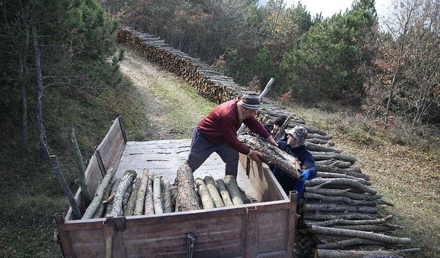 Tarım Orman-İş'ten kritik uyarı: "Orman köylüleri ormandan tasfiye ediliyor"