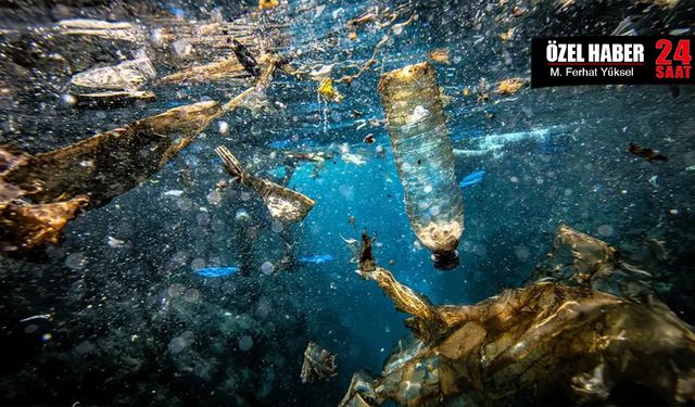 Prof. Dr. Sedat Gündoğdu: “Plastik, odadaki canavar gibi ama onunla yaşamak zorunda değiliz”