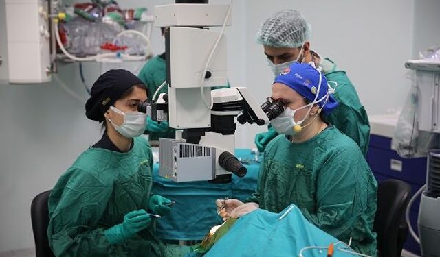 Türk göz hekimleri canlı cerrahide  dünyaya öncülük ediyor
