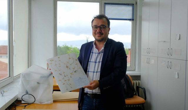 Anadolu Üniversitesi akademisyenlerinden dünya literatürüne iki yeni endemik bitki