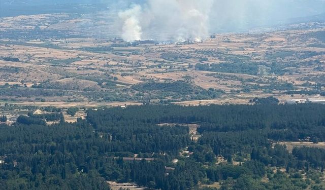 Balıkesir Altıeylül’de arazi yangını: Ekiplerin havadan ve karadan müdahelesi sürüyor