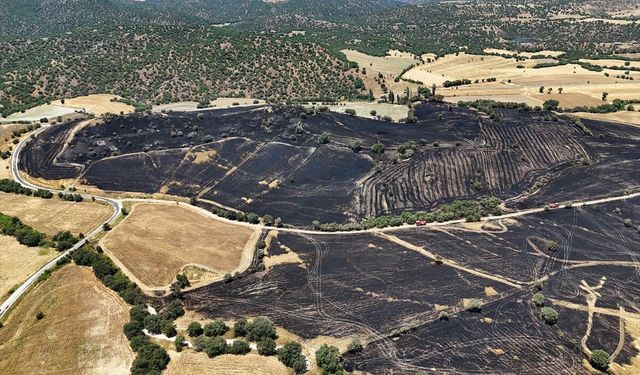 Uşak’ta tarım arazisinde yangın: Ekipler havadan ve karadan müdahale etti