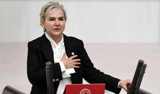 AKP'ye geçen Nimet Özdemir hakkında 'diploma' iddiası