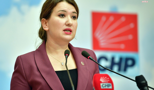 CHP’li Gökçen’den İstanbul Sözleşmesi çağrısı