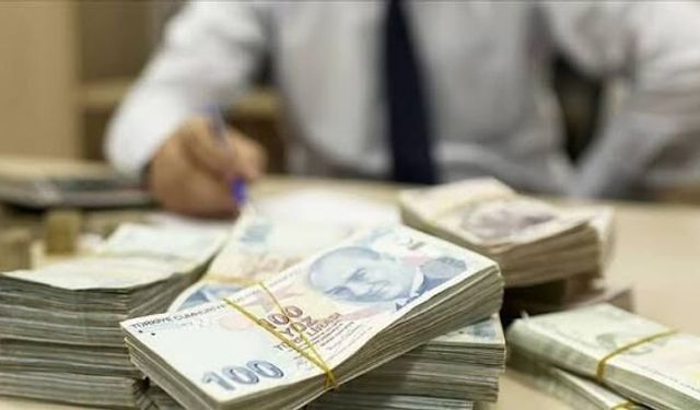 CHP'li Aşkın Genç: "Vatandaştan toplanan her 100 TL'lik verginin 24 lirası faize gidiyor"
