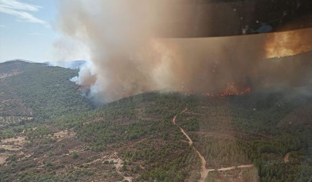 İzmir Çeşme'de çıkan yangına müdahale ediliyor