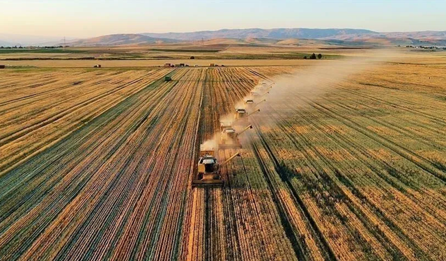 Kırsal kalkınma destekleri açıklandı: 240 projeye 2,9 milyar liralık hibe desteği verildi