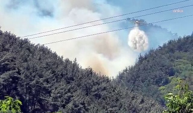 Manisa Soma'daki orman yangını kontrol altına alındı