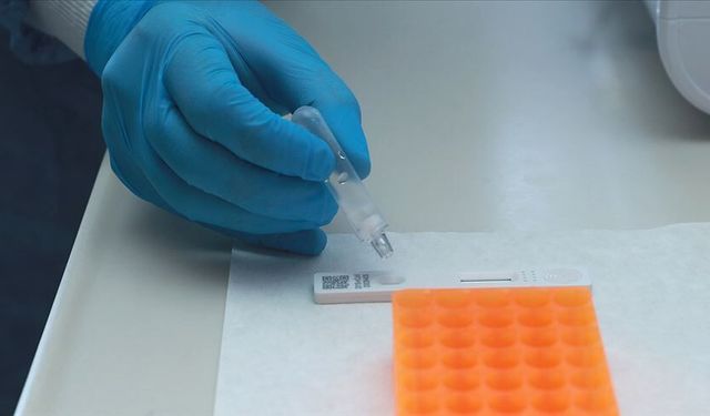 Ankara Üniversitesi'nden kanserde kişiye özel tedaviye yapay zekalı destek projesi