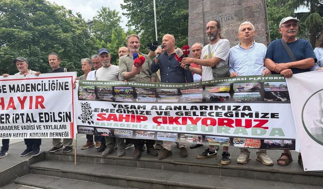 Trabzon'da HES ve maden projelerine karşı eylem: "Trabzon'un tamamına yönelmiş bir doğa talanı"