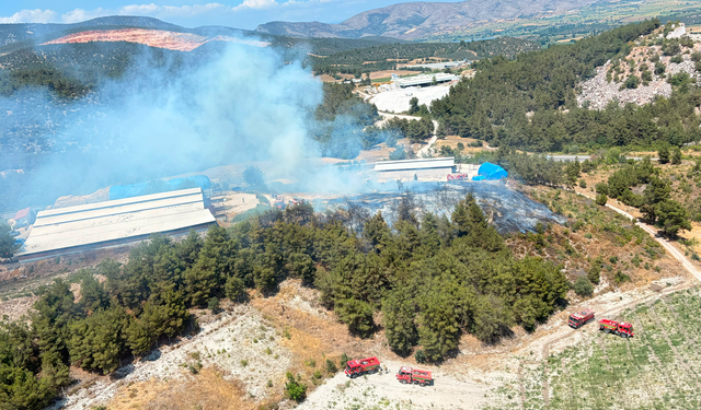 Bilecik'te makilik alandaki yangın kontrol altına alındı: Soğutma çalışmaları sürüyor