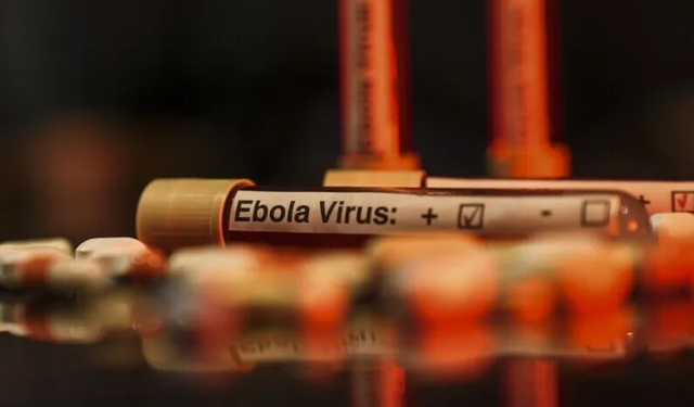 KDC'de Ebola salgını: Can kaybı 967'ye yükseldi