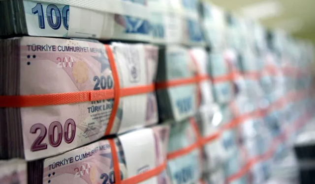 Hazine açıkladı: Merkezi yönetim brüt borç stoku içinde TL ve döviz payı belli oldu