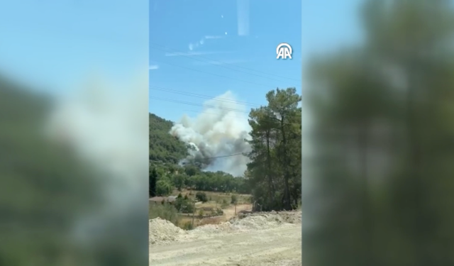 Muğla Fethiye'de orman yangını: Müdahale sürüyor