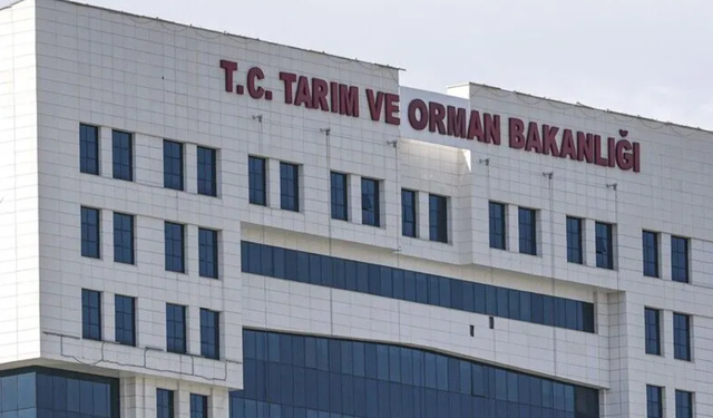 Tarım ve Orman Bakanlığı: Uygunsuz bulunan beyaz peynir piyasadan toplatıldı