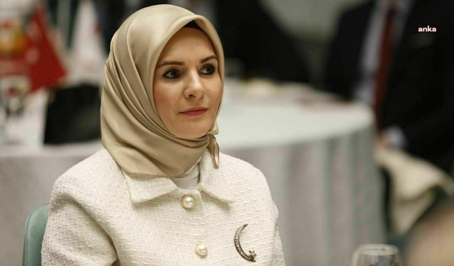 Edirnedeki milletvekiline yönelik 'taciz' iddialarına Bakan Göktaş'tan açıklama