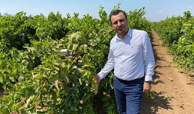 YENİ Parti'den 'üzüm fiyatı' çağrısı: "150 TL'nin altı üretimi durdurur"