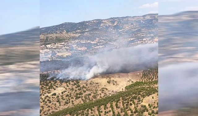 Balıkesir'de orman yangını: Sındırgı'daki alevlere havadan ve karadan müdahale