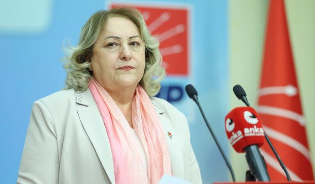 CHP Kadın Kolları Genel Başkanı Gülsever: "Çocukların güvenliğinden sosyal devlet sorumludur"