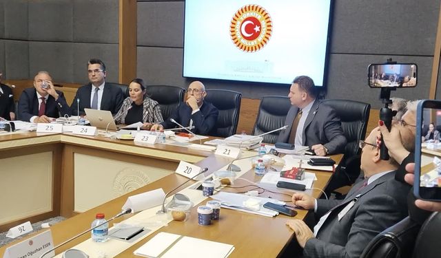 "Çerçeve yasa" görüşmelerinde İYİ Partili Türkeş Taş ile MHP'li Bülbül arasında "pislik" tartışması