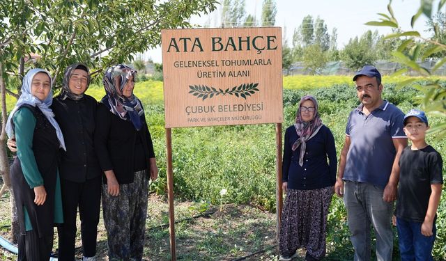 Ankara'nın "yeşil altını" Çubuk turşusu 15 ülkenin sofrasında: 45 çeşit ürünle hedef 90 bin ton satış