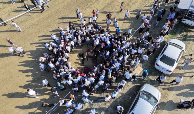Kastamonu Taşköprü'deki Sarımsak Festivali'nde çarpışan iki at telef oldu
