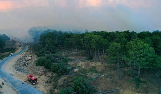 Marmaris'te sahil kesiminde başlayan yangın ormana sıçradı