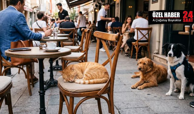 Kafe ve restoranlarda evcil hayvan kısıtlaması taslağına Dört Ayaklı Şehir'den tepki