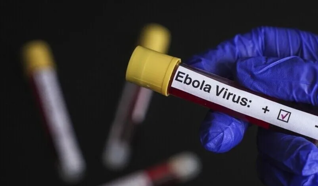 DSÖ: Kongo Demokratik Cumhuriyeti'ne 70 bin doz Ebola aşısı gönderilecek