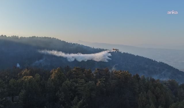 Muğla Fethiye'de orman yangını: Havadan ve karadan müdahale başlatıldı
