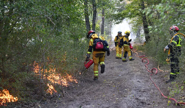 Fransa'da orman yangını: 50 vilayette turuncu alarm verildi