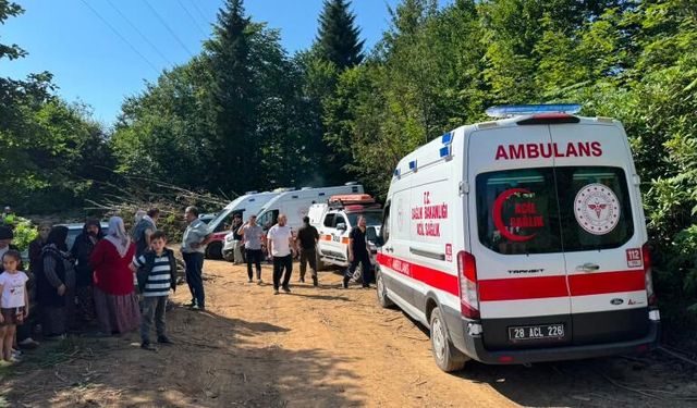 Giresun Valiliği'nden Piraziz'deki düşen helikopter ihbarına ilişkin açıklama