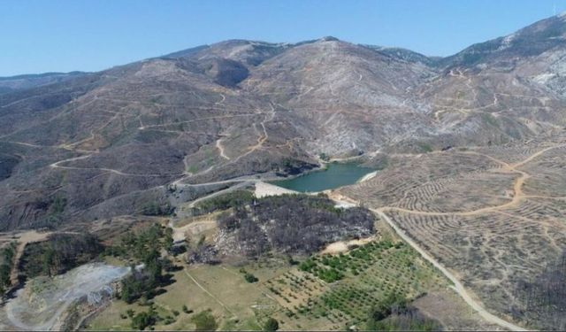 Edirne, Kırklareli ve Tekirdağ'da çıkan orman yangınlarında 32 hektar alan zarar gördü