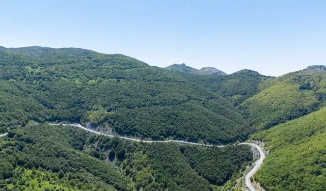 Orman Genel Müdürlüğü: 6 aylık harcama 24,3 milyar lirayı aştı