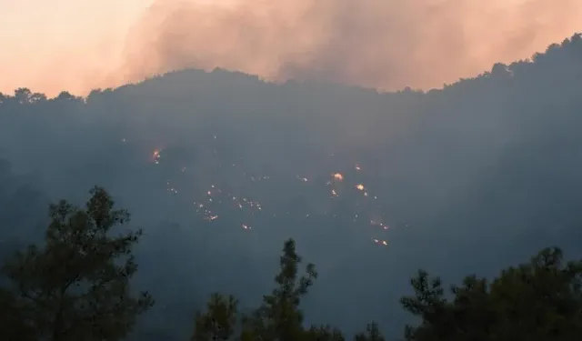 Antalya Kemer'deki orman yangını kontrol altına alındı