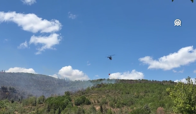 Son dakika...  Kocaeli Gebze'de kent ormanında yangın