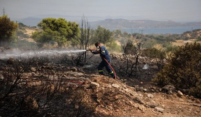 Yunanistan Zakintos Adası'nda orman yangını: Bölge için tahliye emri verildi