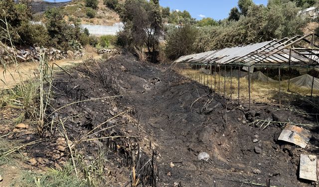 Antalya Alanya'da yangın: Makilik alan alevlere teslim oldu, 10 dönüm zarar gördü