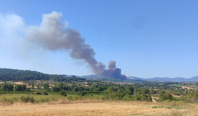 Çanakkale Bayramiç'te çıkan orman yangını söndürüldü