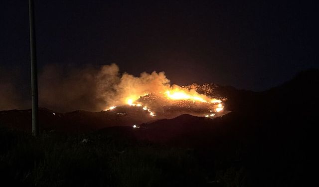SON DAKİKA: Muğla Bodrum'daki orman yangınına müdahale sürüyor