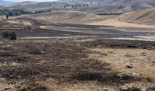 Tokat’ta anız yangını: 20 dönümlük alan zarar gördü