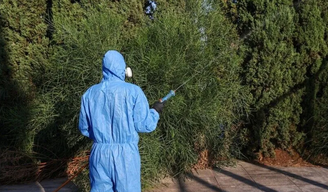 Yunanistan'da Batı Nil virüsü: Atina'da ilaçlama çalışmaları hızlandı