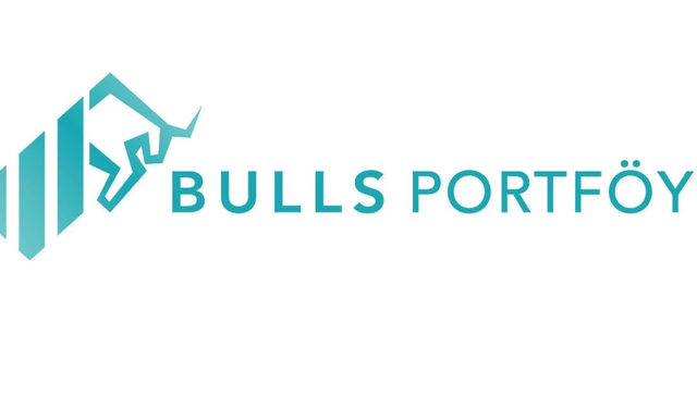 Bulls Portföy fonlarında hangi hisseler var? Güncel portföy dağılımı belli oldu