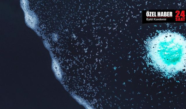 Denizlerde tehlike büyüyor: Vibrio bakterisi riski artıyor
