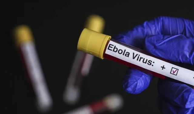 DSÖ: KDC'nin bazı bölgelerinde Ebola vaka sayıları yüksekliğini koruyor