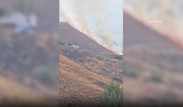 Elazığ Palu’da dağlık alanda arazi yangını: Müdahale sürüyor