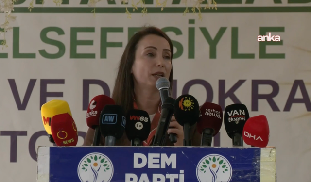 DEM Partili Hatimoğulları'ndan cezaevindeki siyasetçilerin serbest bırakılması için çağrı