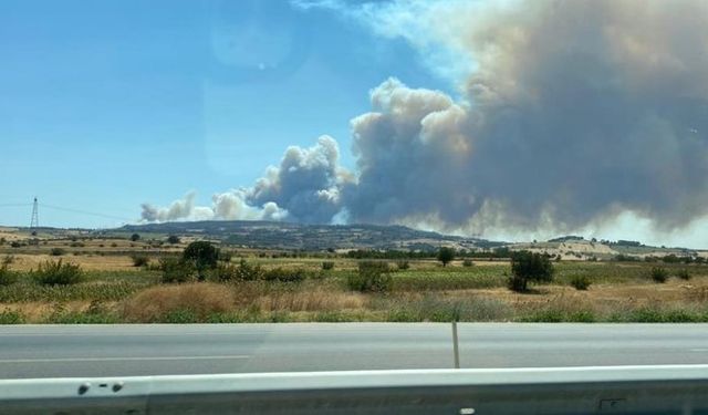 Çanakkale'de orman yangını