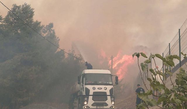 Bursa'da çıkan orman yangını söndürülmeye çalışılıyor