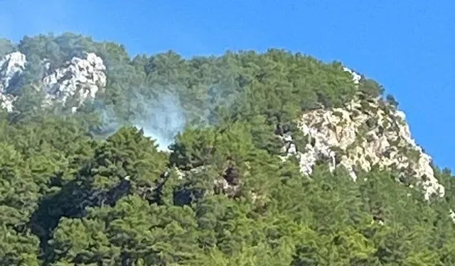 Muğla Köyceğiz'de orman yangını çıktı